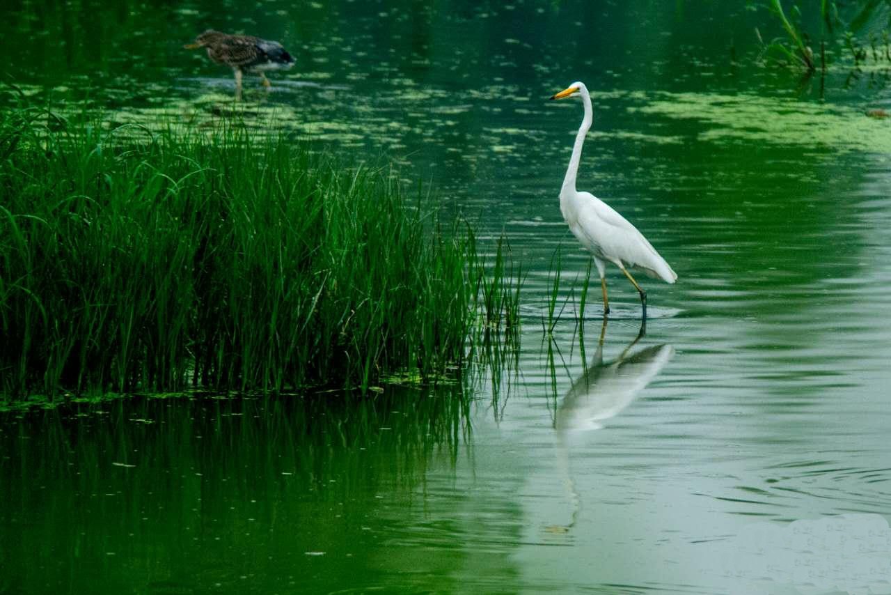 4d0c2363eb44d4caf07f72bc76e05aa8_iqilu.jpg